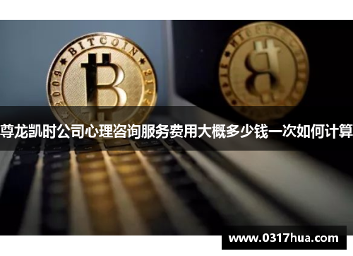 尊龙凯时公司心理咨询服务费用大概多少钱一次如何计算